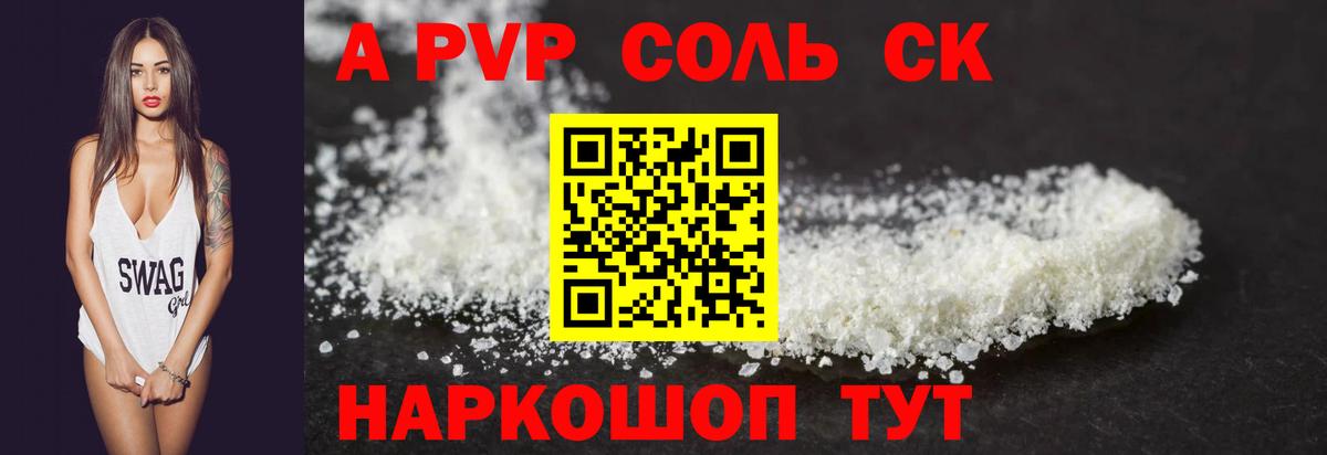 Alfa_PVP СК Великий Новгород