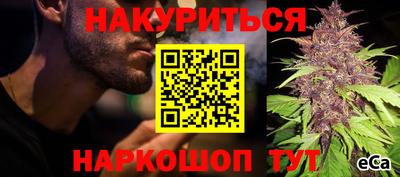 крисы Жуковский