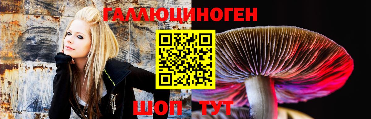Великий Новгород  Псилоцибиновые грибы MAGIC MUSHROOMS  Вход с VPN  купить наркотики цена  Галлюциногенные грибы Psilocybe 